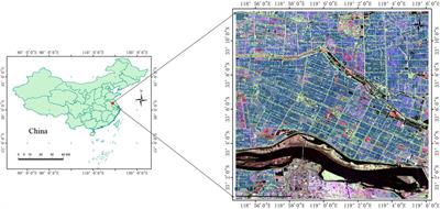 Fine classification and phenological analysis of rice paddy based on multi-temporal general compact polarimetric SAR data